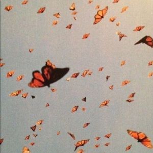 Meet your Posher, Najma